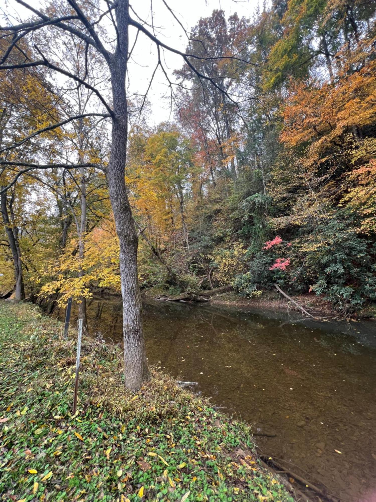 Firefly Fields 2-Acres With Guest House, Game Room, Mountain & River Views セバービル エクステリア 写真